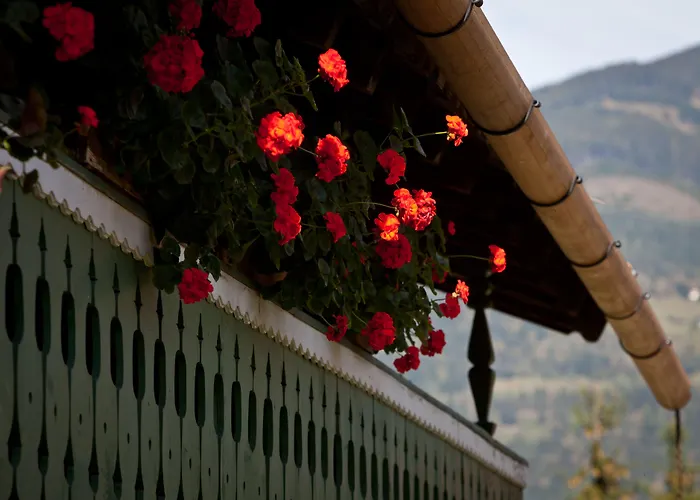 Hotel Gasthof Mitteregger -Best Place In Town With Summercard And Breakfast